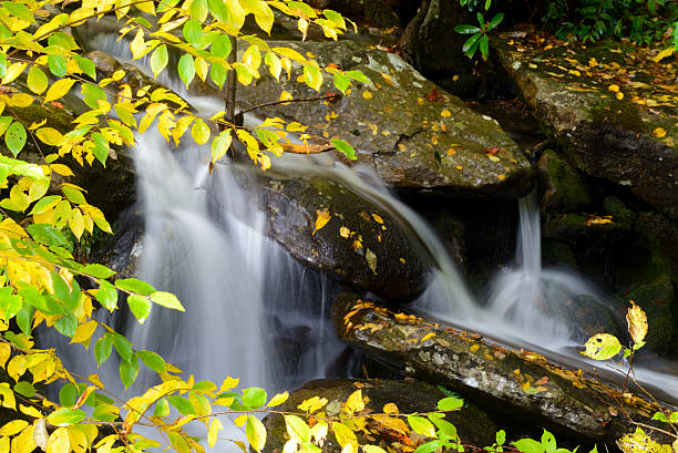 pequeña catarata en otoño rodeado de hojas de color amarillo. - landscape landscaped tennessee mist fotografías e imágenes de stock