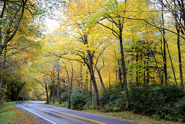 área de montaña de camino a través de la smokies en los colores del otoño. - landscape landscaped tennessee mist fotografías e imágenes de stock