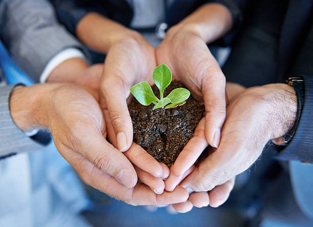 Nurturing the business together
