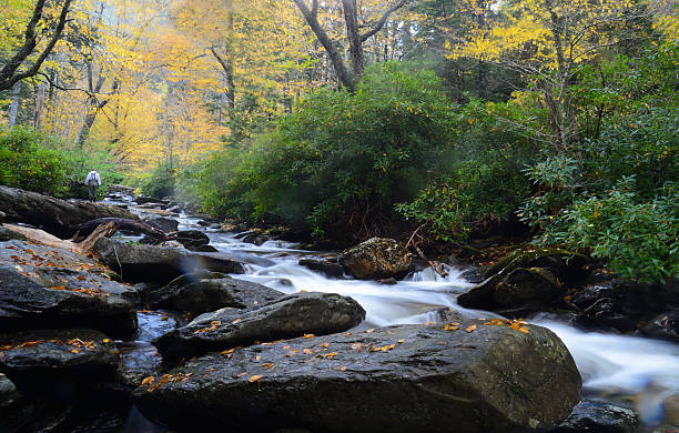 рыбалка на большие дымные горы потоков в осени. - tennessee waterfall stream forest стоковые фото и изображения