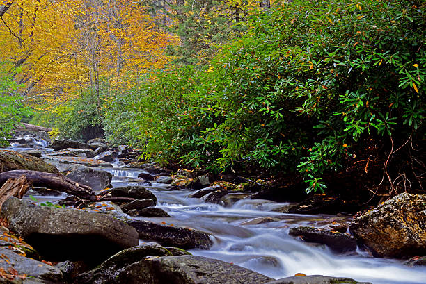 istock White water stream amid fall colors in the Smokies. 475449988