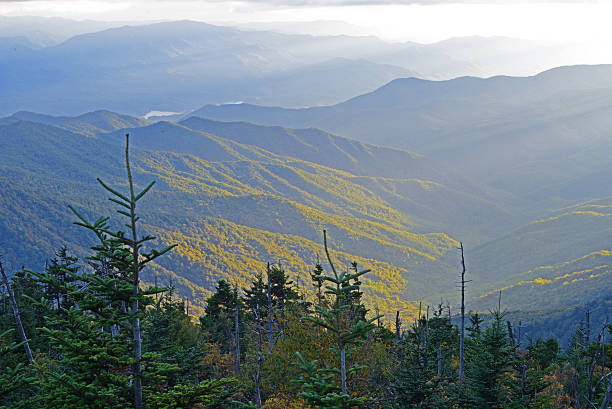 Smoky Mountains peak in early morning light.