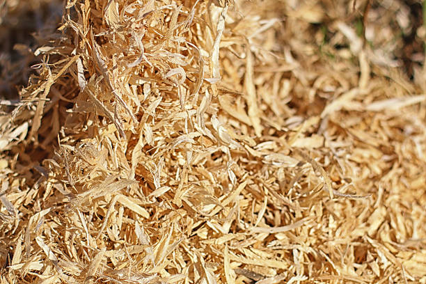 istock background texture of wood shavings 475452972