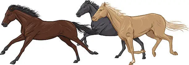 Vector illustration of Three isolated galloping horses