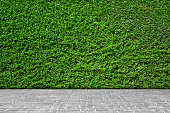 Green leaves wall background on gray brick floor.