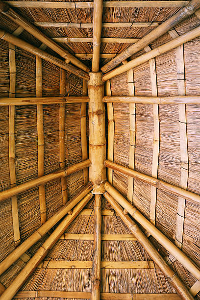 Detailed internal structure of a nipa hut roof with lines of bamboo bars/columns connecting to a large central bamboo column in the middle of the roof.