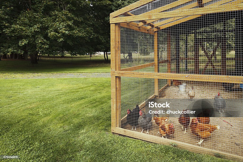 Chicken Coop Wonderful large chicken coop. Chicken Coop Stock Photo