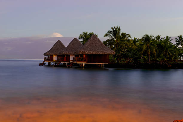 domki o dawn - polynesia bungalow beach sunrise zdjęcia i obrazy z banku zdjęć