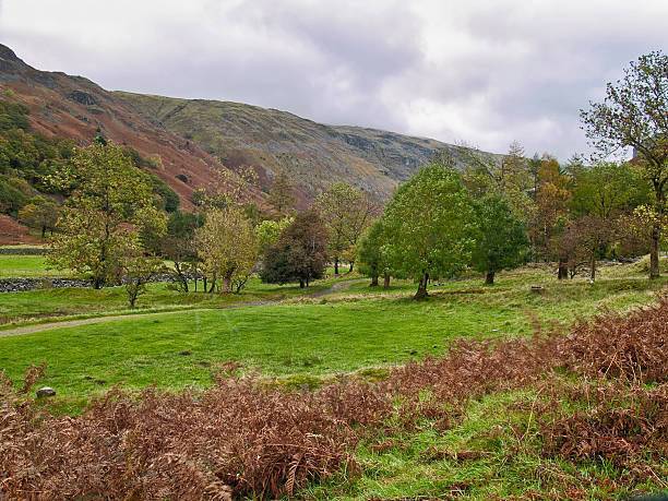 istock Autumn colours around Borrowdale, Cumbria, UK 475459933