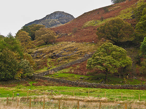 istock Autumn colours around Borrowdale, Cumbria, UK 475459945