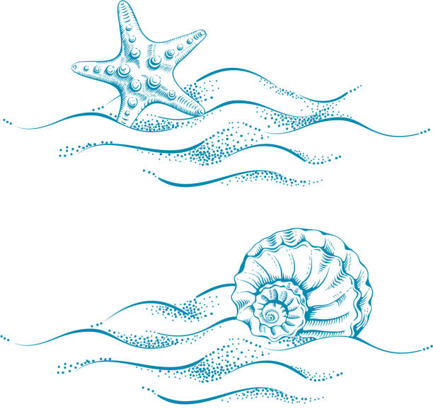 illustrazioni stock, clip art, cartoni animati e icone di tendenza di tema di mare - starfish