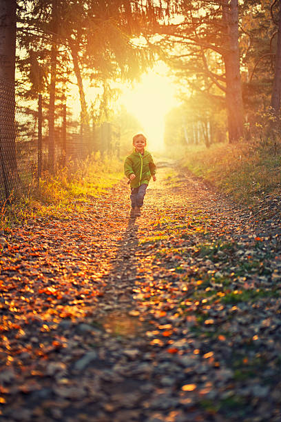Little boy running on a sunny path covered with autumn leaves. Slightly soft focus.