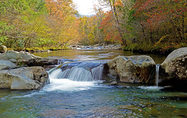 hermosa en otoño de blanco de agua en el chorro smokies. - autumn water leaf stream fotografías e imágenes de stock