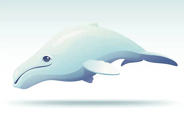Vector illustration of cute humpback whale