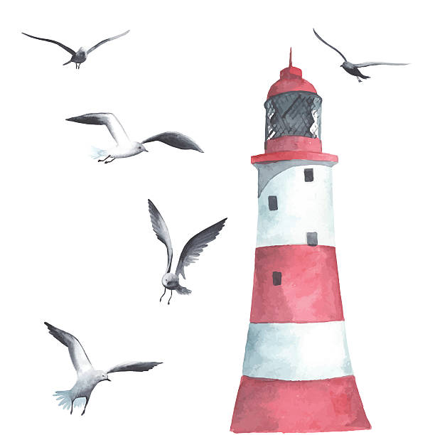 Watercolor lighthouse and seagulls Watercolor lighthouse and seagulls made in vector industrial ship military ship shipping passenger ship stock illustrations