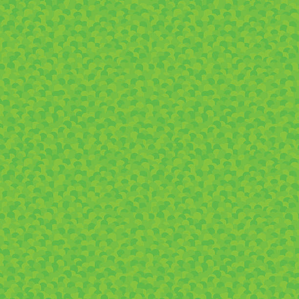 Estilizada de grama verde, sem costura padrão  - ilustração de arte em vetor