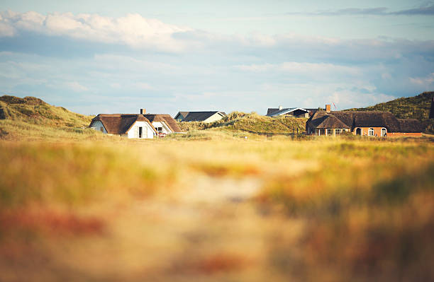 istock Dune with little holiday home 475472459