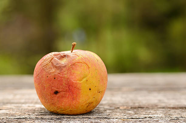 istock Rotten apple on wooden table 475473022
