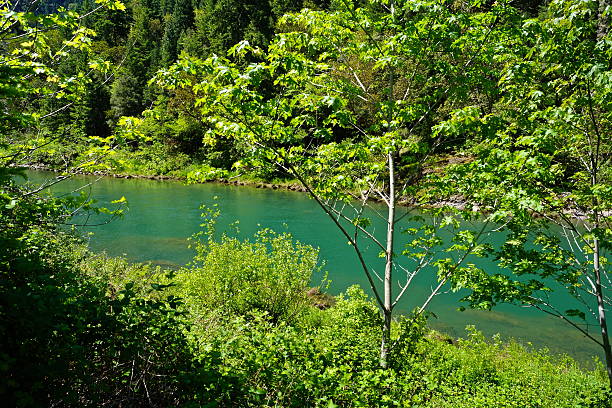 istock South Umpqua Emerald Water 475473306