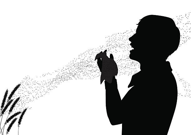 There is fever EPS8 editable vector silhouette of pollen drifting from grass flowers with a man suffering from hay fever sneezing grass shoulder stock illustrations