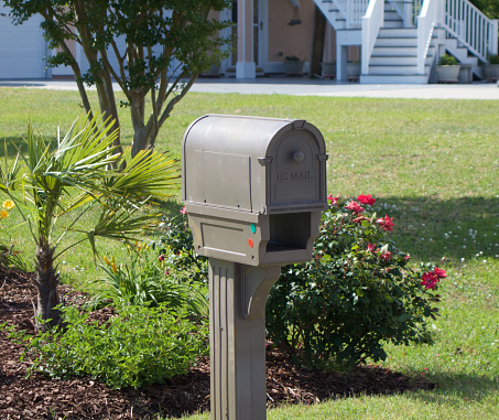 Brown mailbox in front of a flowerbed with palm plant and rosebush