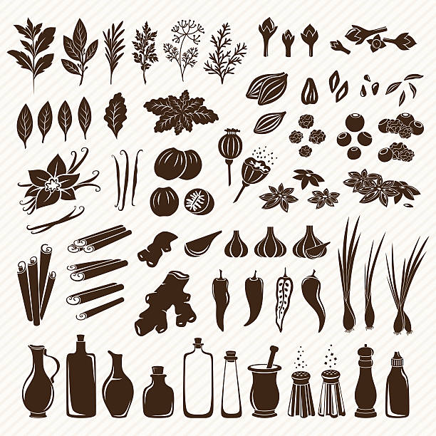 набор из специй - cardamom seed plant isolated stock illustrations