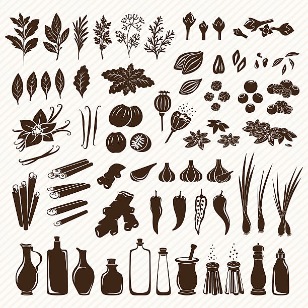 Set of spices Spices, condiments and herbs set poppy seed stock illustrations