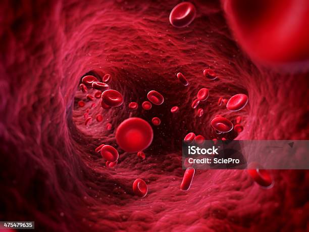 Las Células Sanguíneas Foto de stock y más banco de imágenes de Arteria humana - Arteria humana, Asistencia sanitaria y medicina, Aumento a gran escala