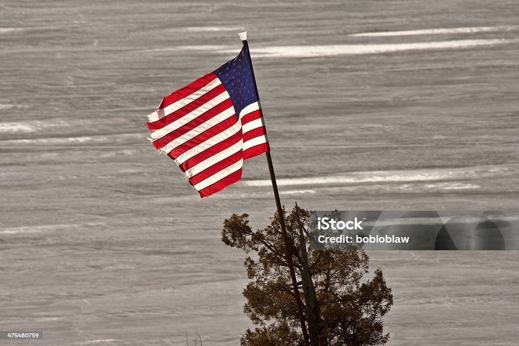 Amerikanische Flagge - Lizenzfrei Amerikanische Flagge Stock-Foto