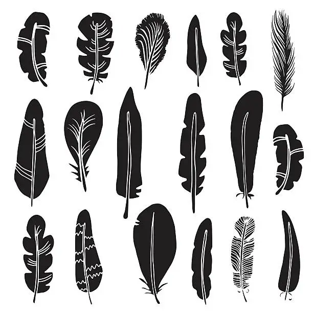 Vector illustration of Hand drawn bird feathers