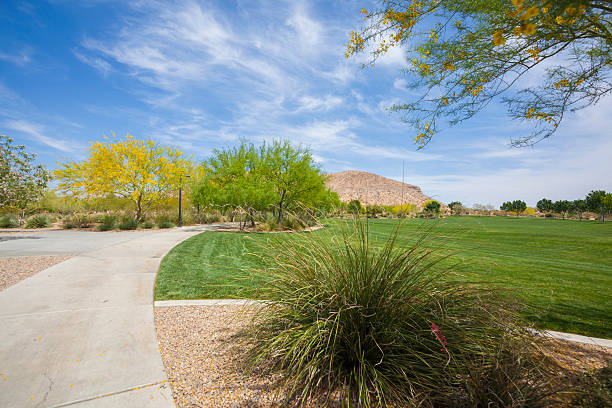 istock Mountains Edge Park in Las Vegas 475486094