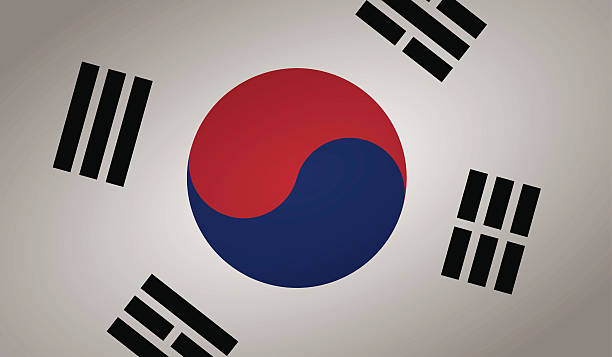 flaga korei południowej - south korea stock illustrations