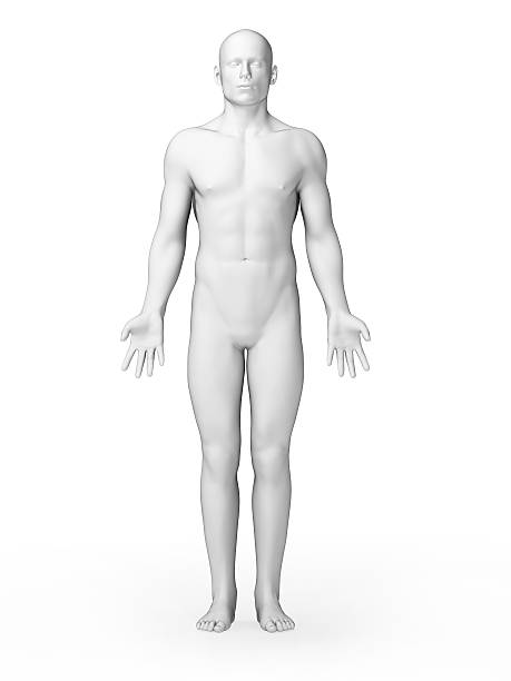 istock simple white male body 475489257