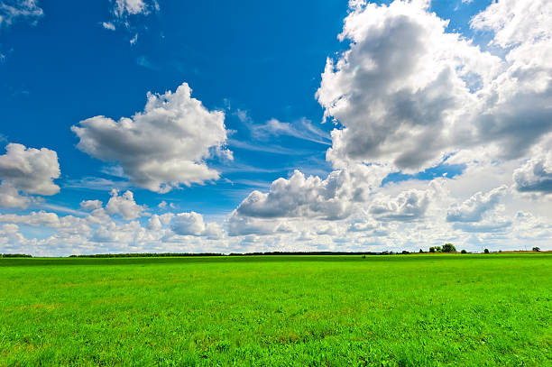 istock beautiful clouds over the lush green grass 475490947