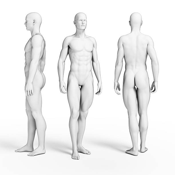 istock ripped male figure 475491047