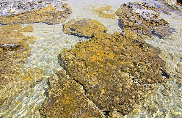istock Shallow clear sea with pink sand beach 475491055