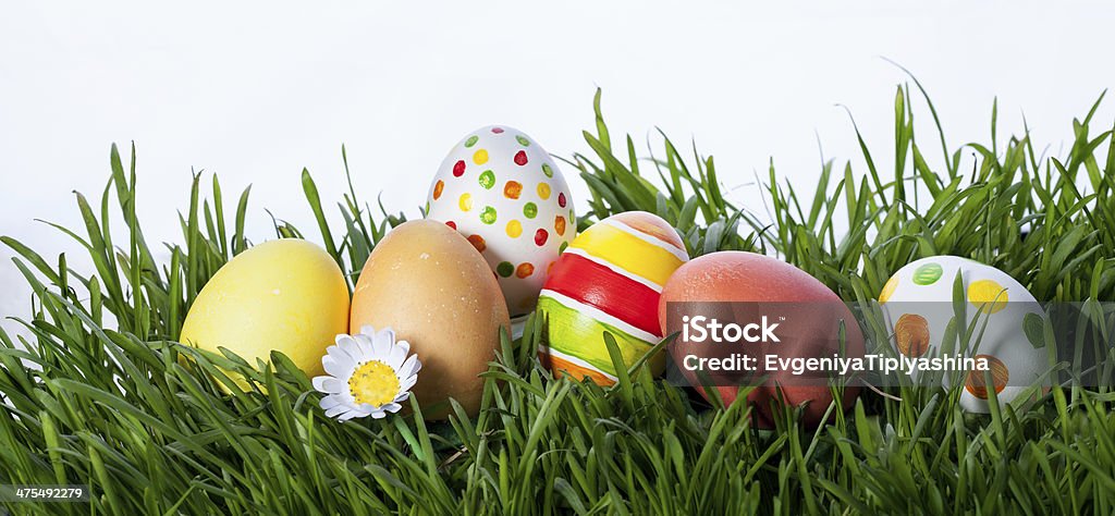 decorated easter eggs decorated easter eggs in the grass Backgrounds Stock Photo