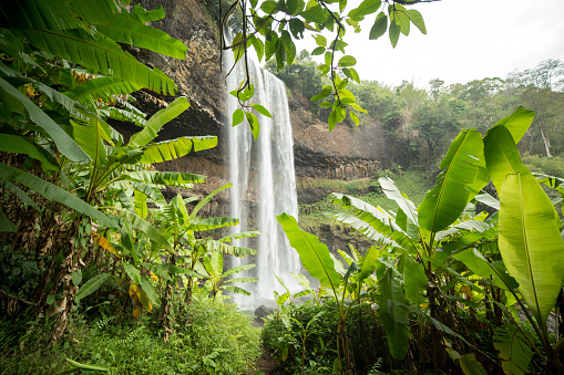 Waterfall in Laos, wet season and tropical climate, bushes and banana trees.
