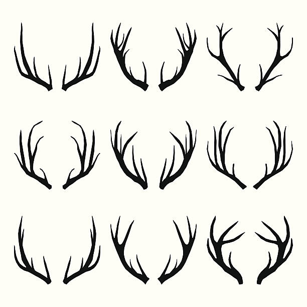 ベクトルコレクションのシカの角 - deer portrait点のイラスト素材／クリップアート素材／マンガ素材／アイコン素材