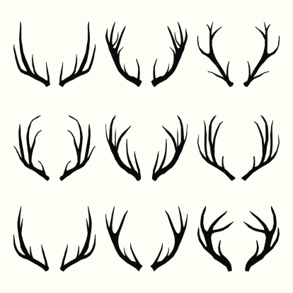 Vector Collection of Deer Horns