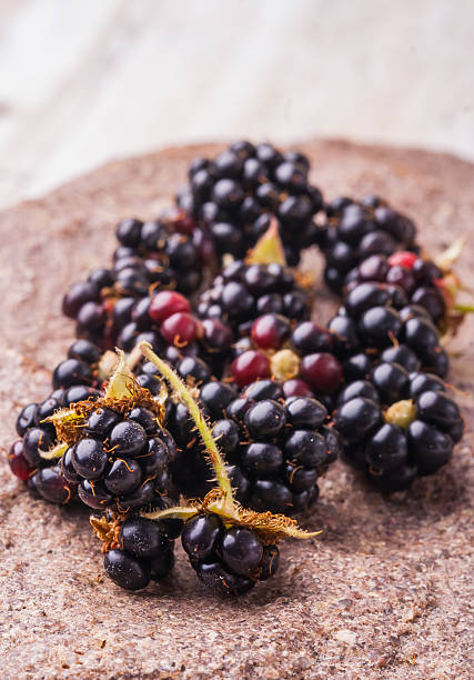 istock Blackberries on of the field stone 475501430