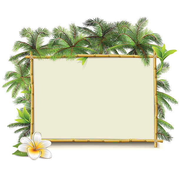 illustrazioni stock, clip art, cartoni animati e icone di tendenza di vettore telaio in bambù con palme - tropical climate polynesia flower pacific islands