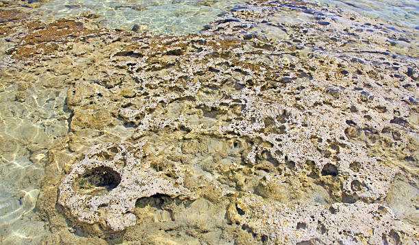 istock Shallow clear sea with pink sand beach 475507207