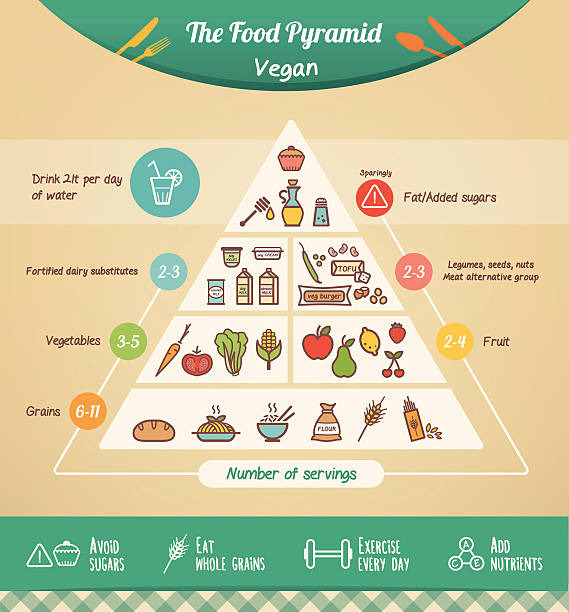 die vegane ernährungspyramide - cereal plant illustrations stock-grafiken, -clipart, -cartoons und -symbole