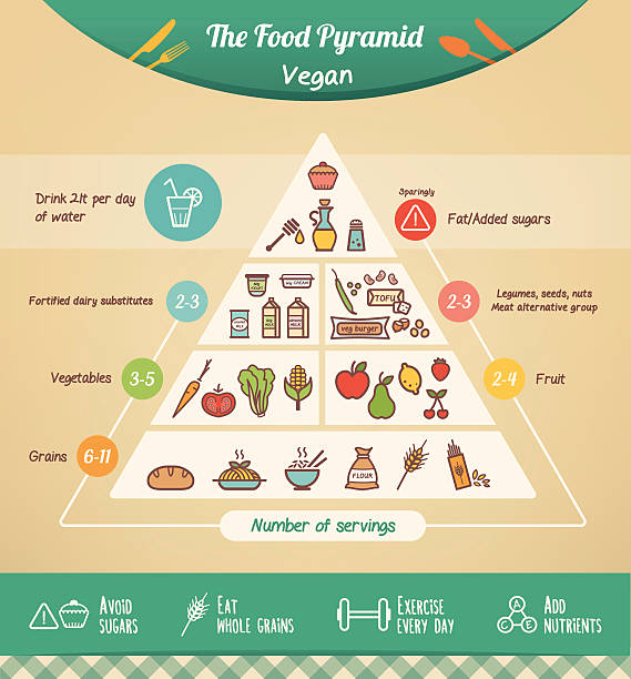 illustrations, cliparts, dessins animés et icônes de les végans pyramide alimentaire - serving size weight scale scale food