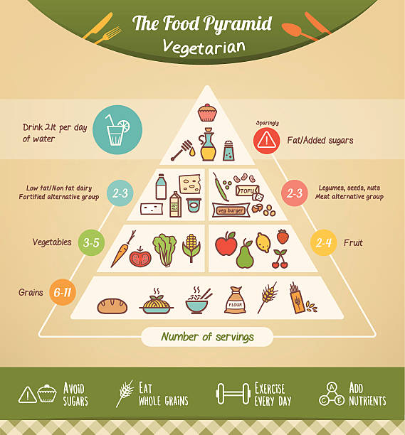 ilustrações, clipart, desenhos animados e ícones de a pirâmide de comida vegetariana - serving size weight scale scale food
