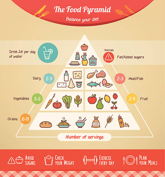 illustrations, cliparts, dessins animés et icônes de la pyramide alimentaire - serving size weight scale scale food