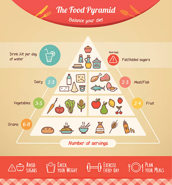 、食品ピラミッド - serving size weight scale scale food点のイラスト素材／クリップアート素材／マンガ素材／アイコン素材