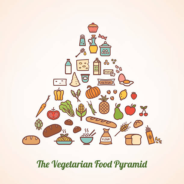 illustrations, cliparts, dessins animés et icônes de le végétarien pyramide alimentaire - serving size weight scale scale food