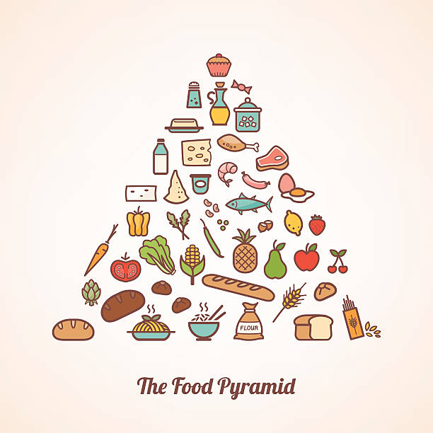 food pyramid - cereal plant illustrations stock-grafiken, -clipart, -cartoons und -symbole